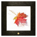 Art Print - "Maple Leaf I" by Andrea Gerstmann